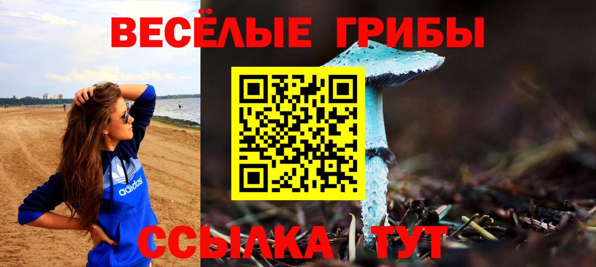 Псилоцибиновые грибы Magic Shrooms  Вход с VPN  Галлюциногенные грибы Cubensis  Чернушка 