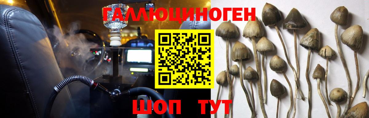 Псилоцибиновые грибы Magic Shrooms Чернушка